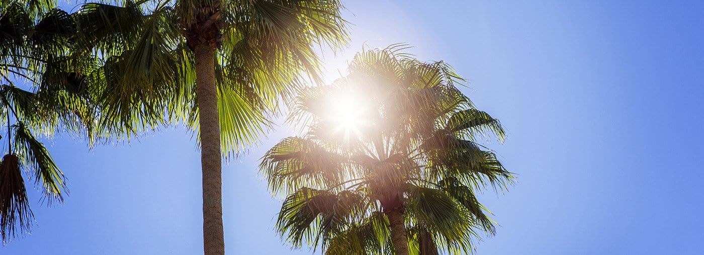 Senior Sun Safety
